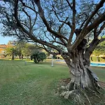 Clemenvilla Iii En Denia- Serviden *