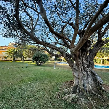 Clemenvilla Iii En Denia- Serviden *